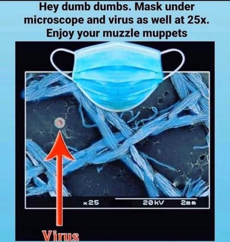 Maske und Virus unterm Mikroskop